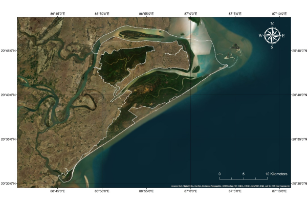 Bhitarkanika Mangroves