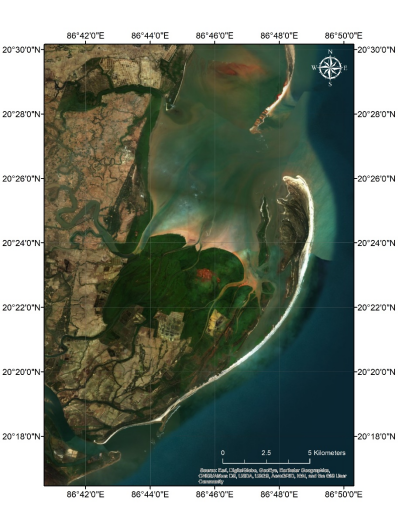 Mahanadi Delta Mangroves